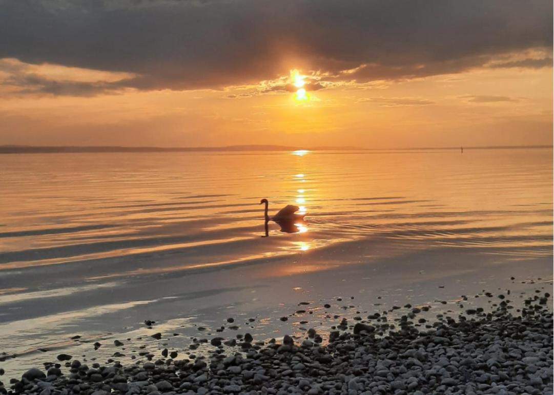 Ferienwohnung Morgensonne Langenargen Exteriér fotografie